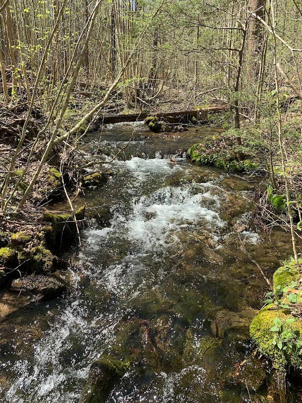 Hemlock Natural Area - Image 1