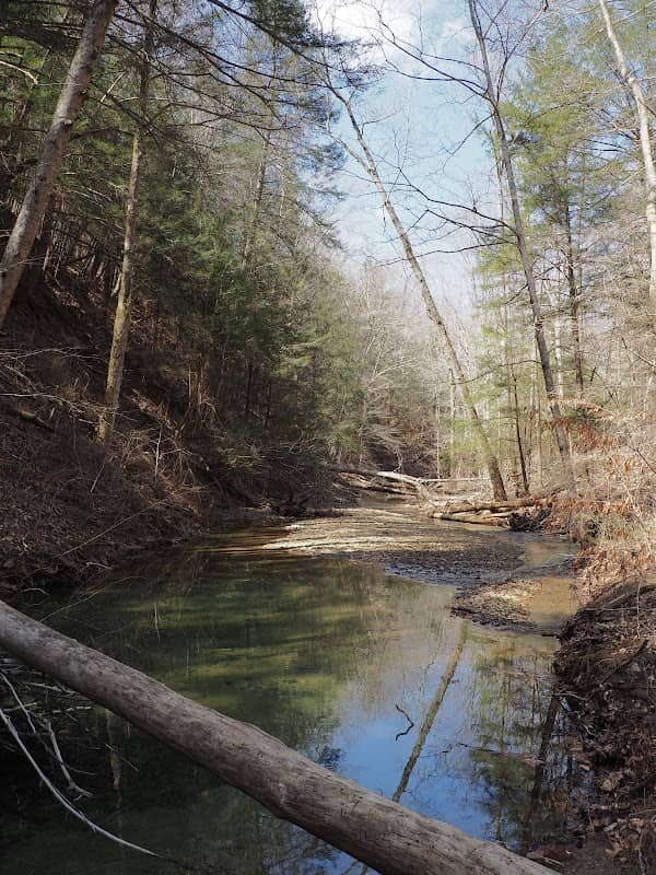 Clear Creek Campground - Image 2