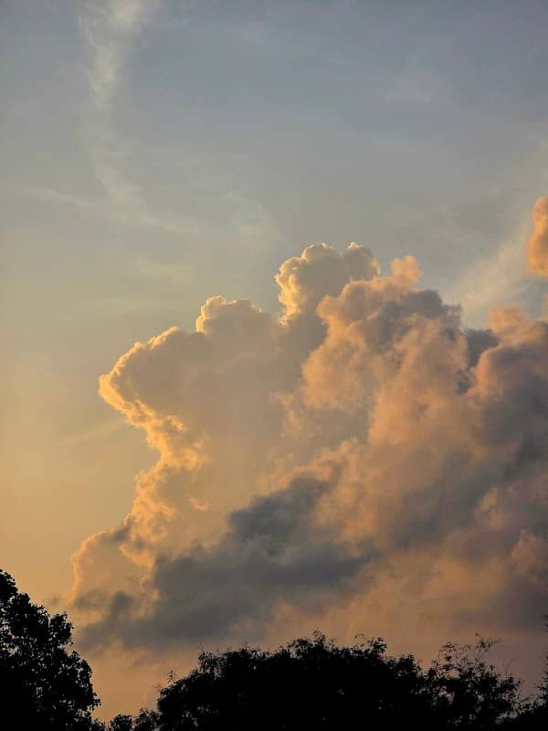 Moser Park - Image 2