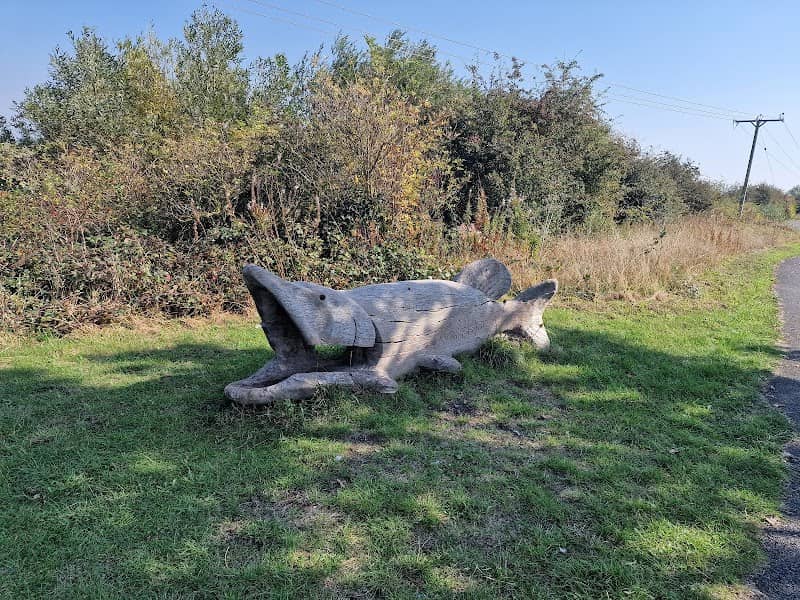 The fish - Image 1