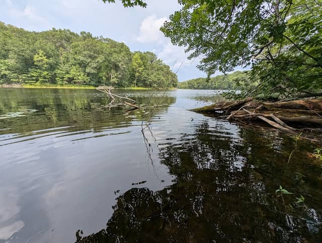 Town Line Lake & Woods State Natural Area - Image 1