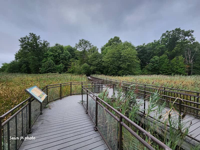 Hawk Rise Sanctuary - Image 2
