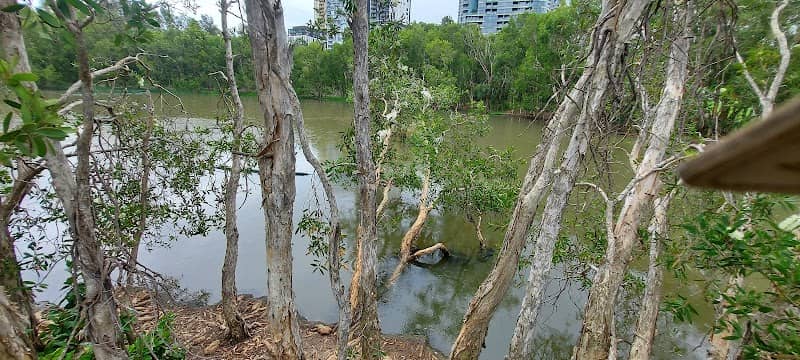 Homebush Park - Image 2