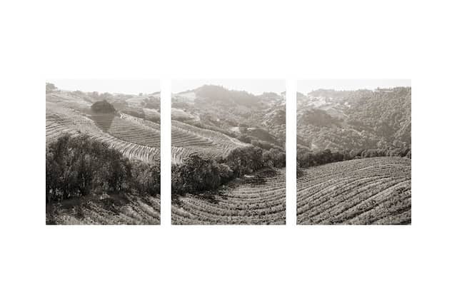 Cain Vineyard & Winery - Image 1