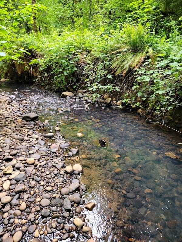 Salmon Creek Park - Image 1