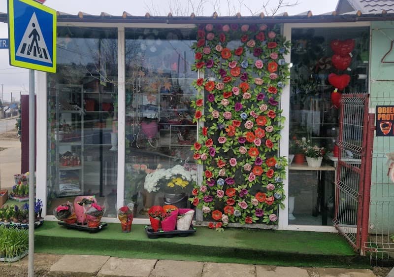Flowers & Gifts For You SRL - Image 1