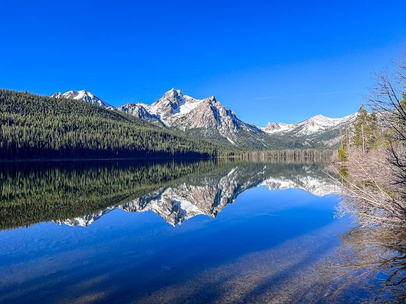 Stanley Lake Campground - Image 2