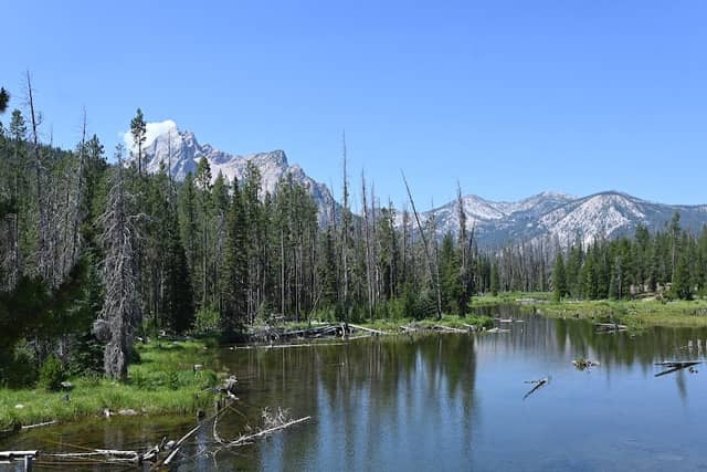 Stanley Lake Campground - Image 3
