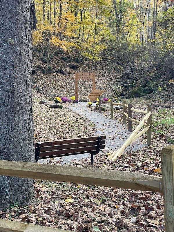 Almost Heaven Swing at Pleasants County Park - Image 1