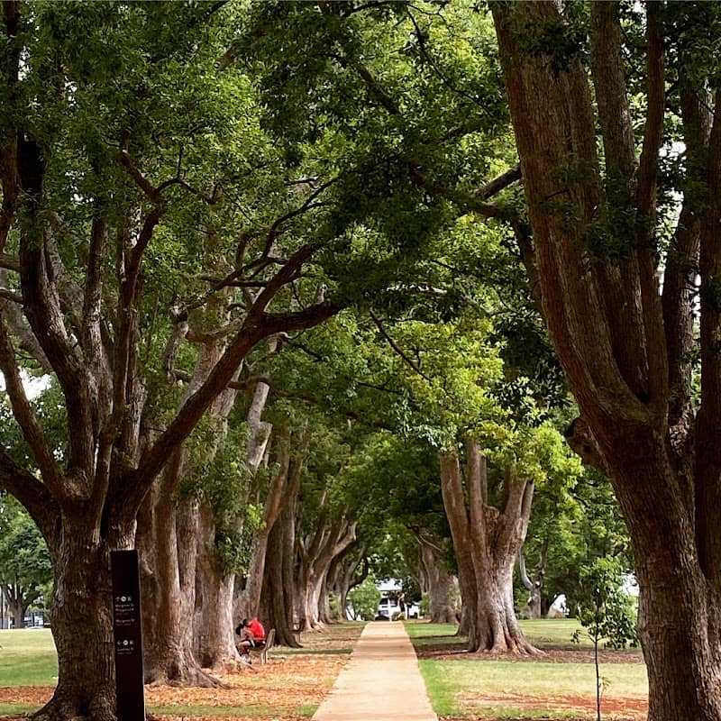 Queens Park Toowoomba - Image 3