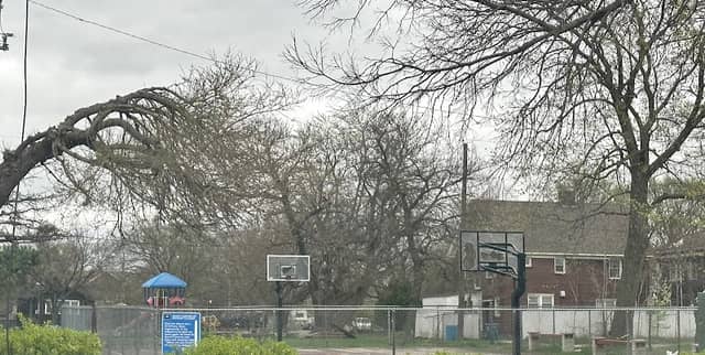 Rees Park - Image 1