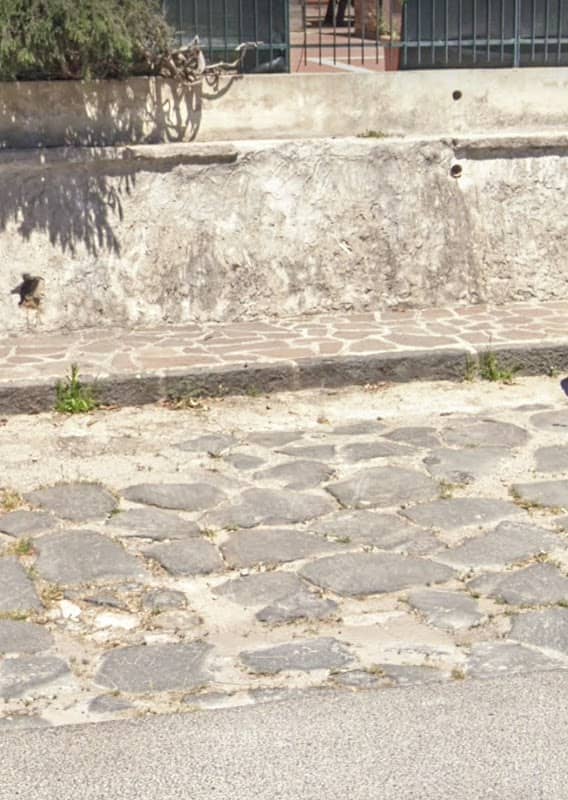 Antico basolato romano della Via Appia - Image 1
