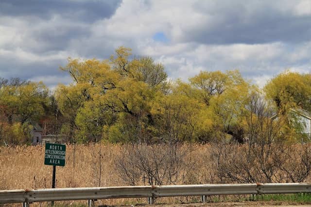 North Attleboro Conservation Area - Image 1