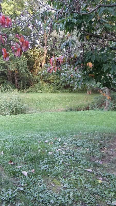Platte City Parks & Rec - Image 1