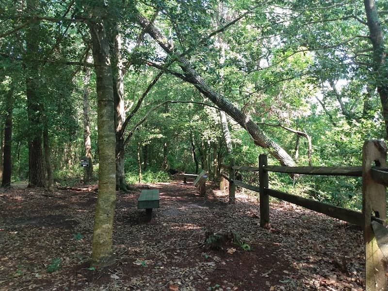 Appomattox River Regional Park - Image 2