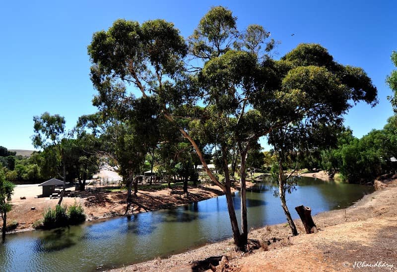 Thomas Pickett Reserve - Image 1