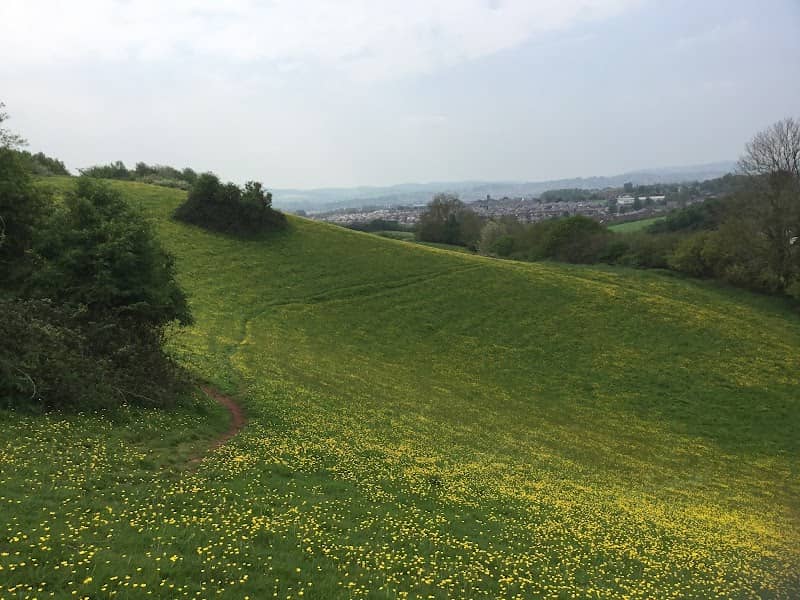 Ludwell Valley Park - Image 1