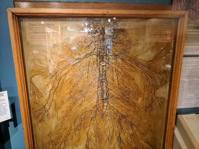 Museum of Osteopathic Medicine and the International Center for Osteopathic History - Image 1