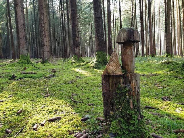 Holzkunstwerk im Wald - Image 2