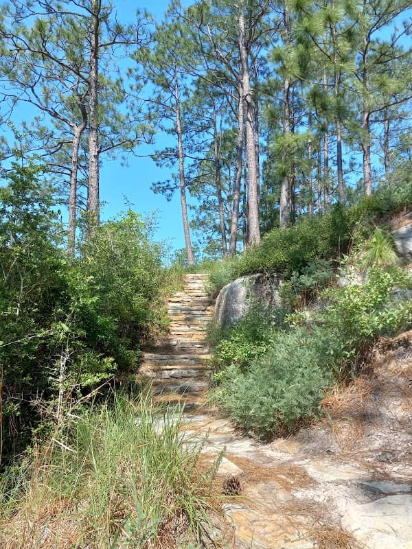 Longleaf Vista Nature Trail - Image 2