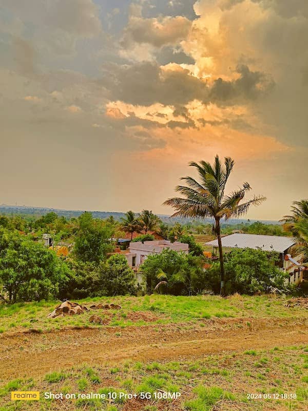Shendri Road Gadhinglaj (Tree Plantation) - Image 1