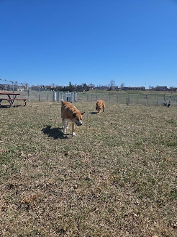 Sparks Dog Park - Image 1