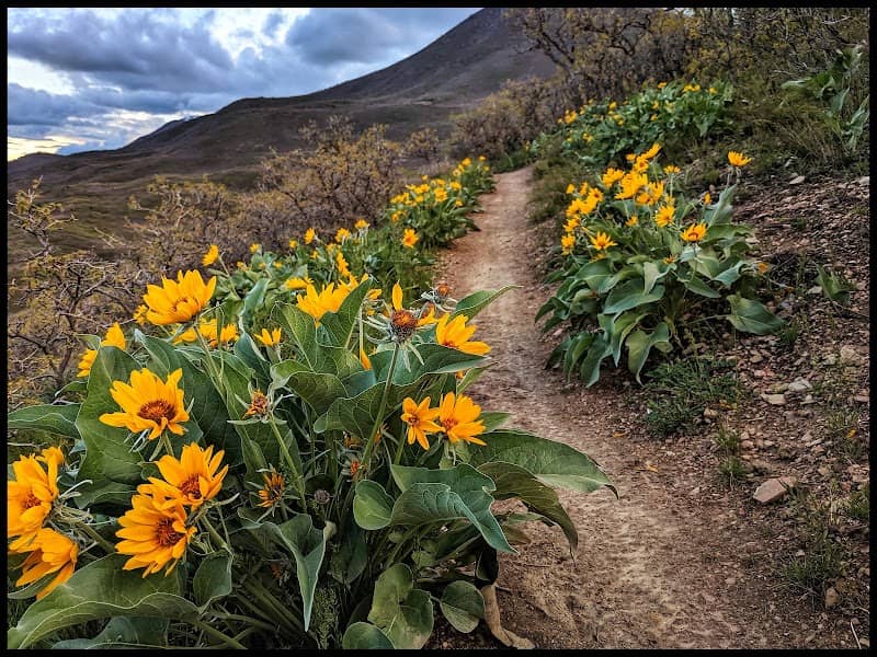 Dry Canyon Trailhead - Image 1