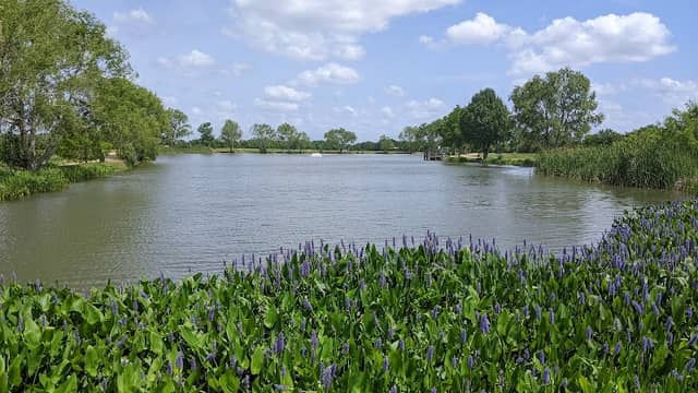 Seabourne Creek Nature Park - Image 2
