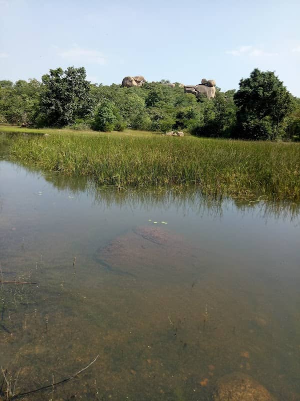 Ibrahimpatnam Reserve Forest - Image 1