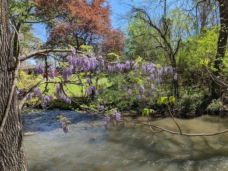 Pickthorn Park - Image 2