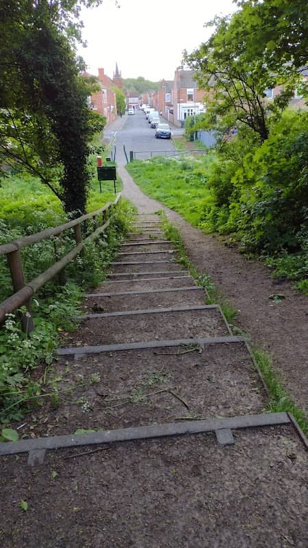 Woodland walk - Image 2