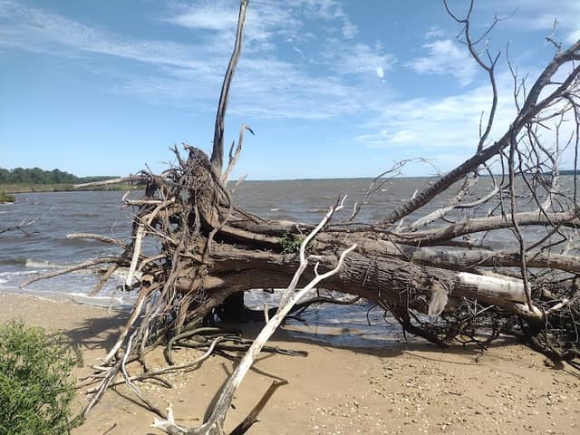 Duck Inn Trail - Image 1