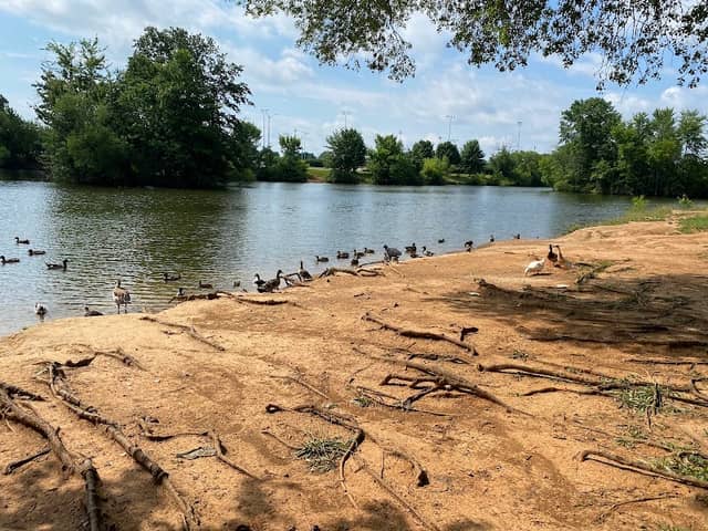 Warren County Parks Athletic - Image 1