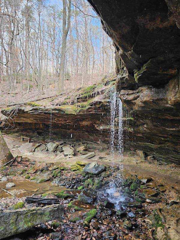 Hurricane Creek Park - Image 2