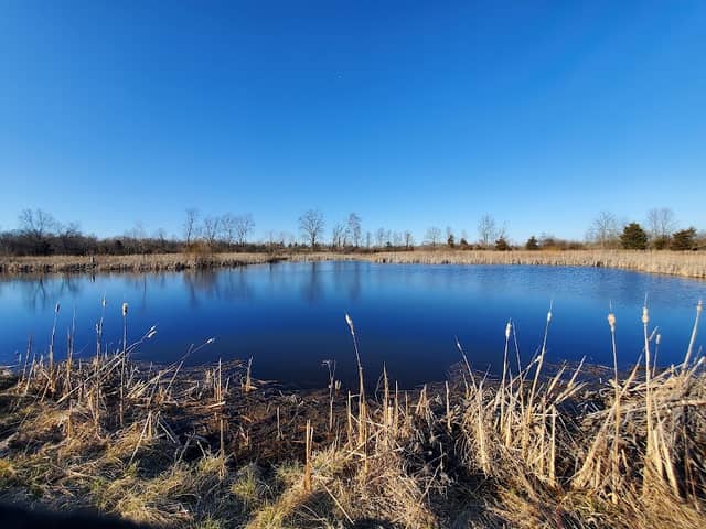 Woodland Trails Wildlife Area - Image 2