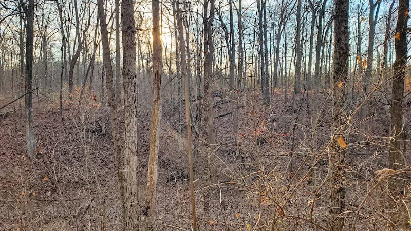 Woodland Trails Wildlife Area - Image 1
