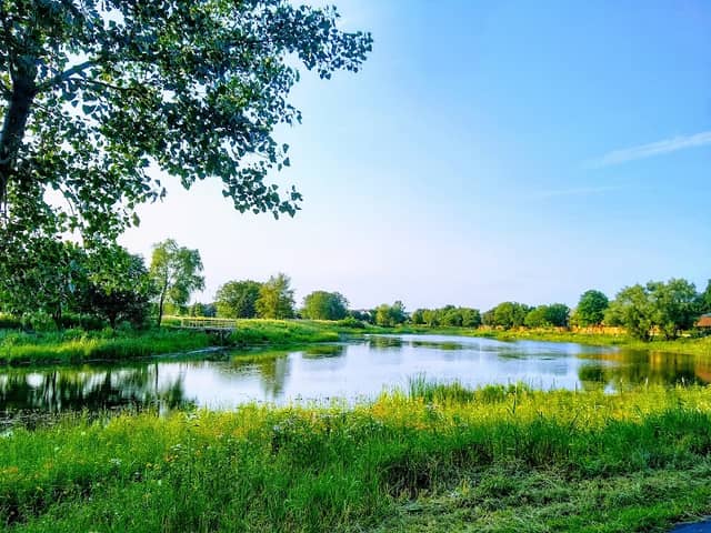 Springfield Park - Image 1