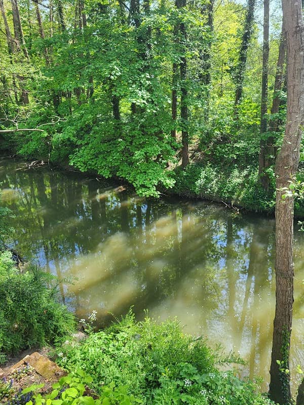 Rodden Meadow - Image 2