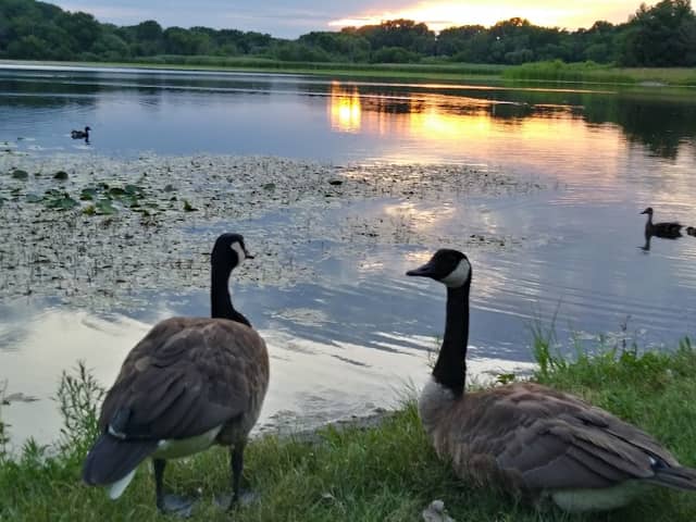 Natures Meadow Park - Image 2