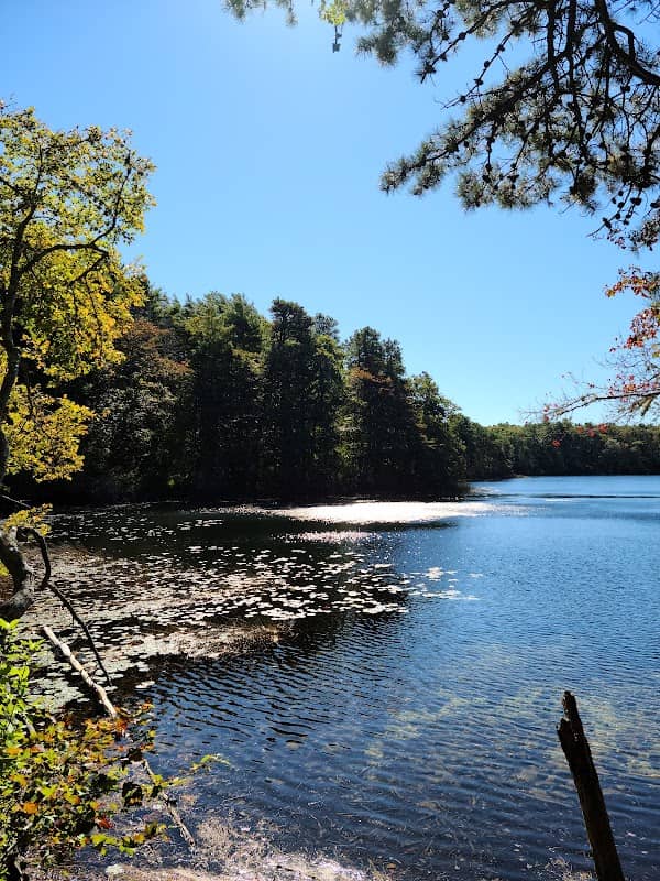 Eagle Pond and Little River Sanctuary - Image 1