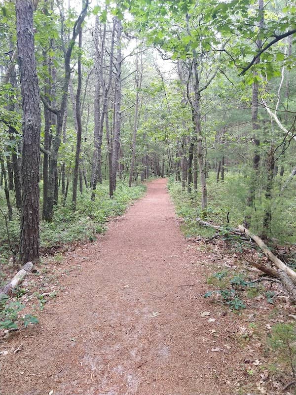 Eagle Pond and Little River Sanctuary - Image 2