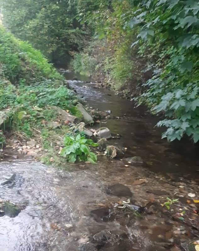 Kurpark Dr. Grüne Olsberg Kneipp - Image 1