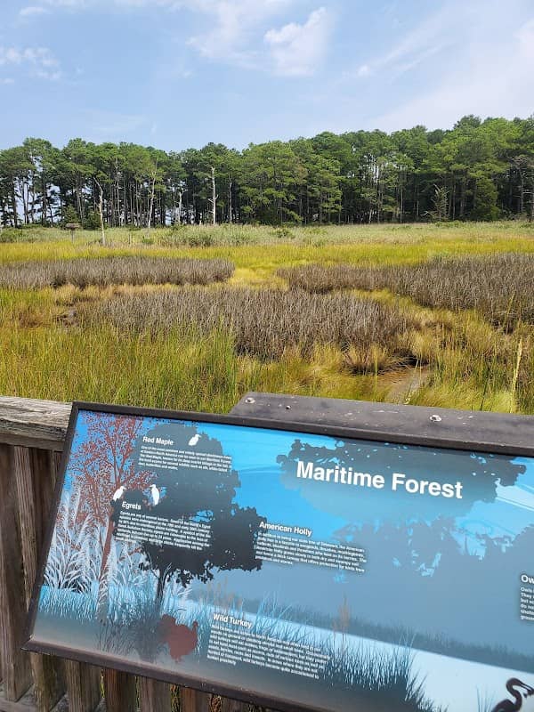 Bethany Beach Nature Center - Image 2