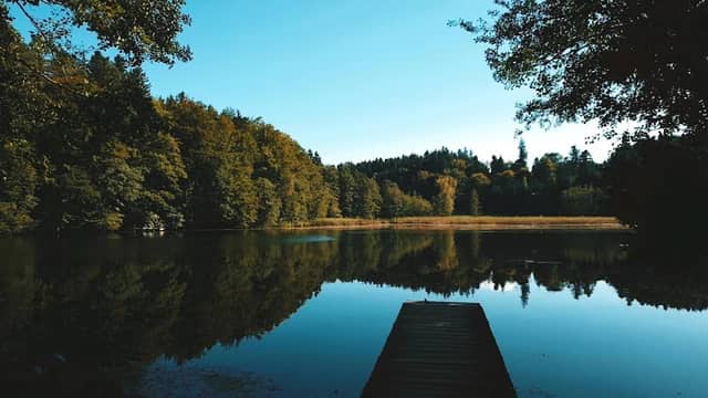 Jägerweiher - Image 1