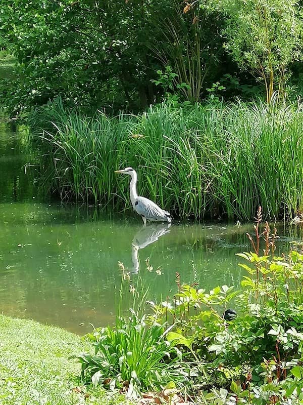 Herschel Park - Image 2