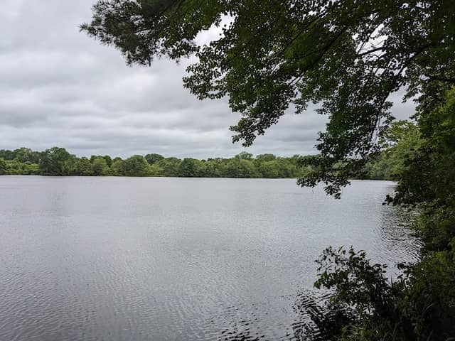 John L. Curran Management Area - Image 1