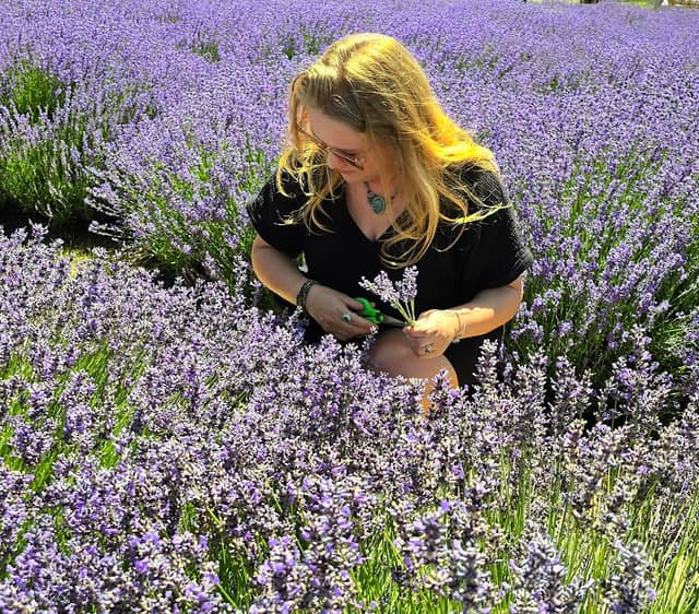 Lavender Festival - Image 2