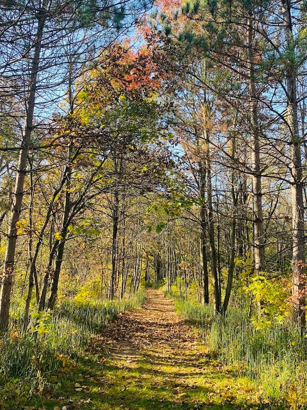 Pioneer Park - Image 1