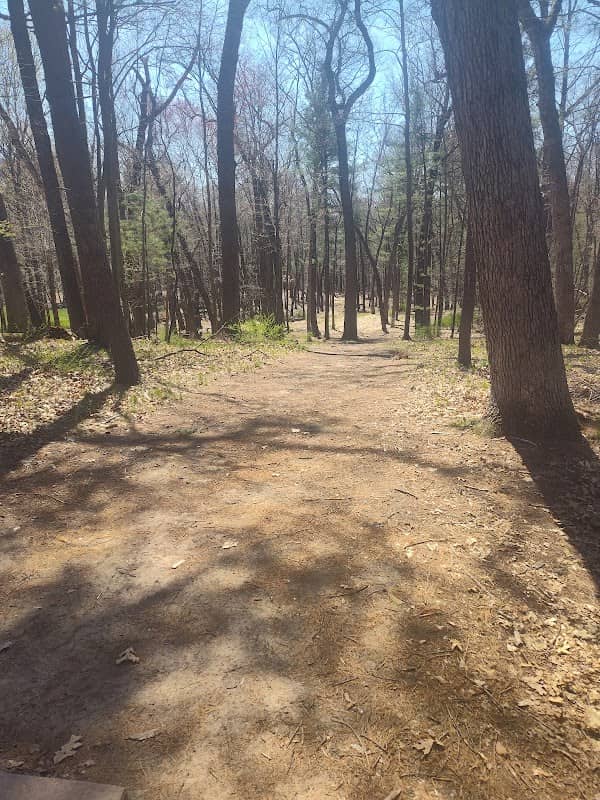 Tower Park Discgolf course - Image 2