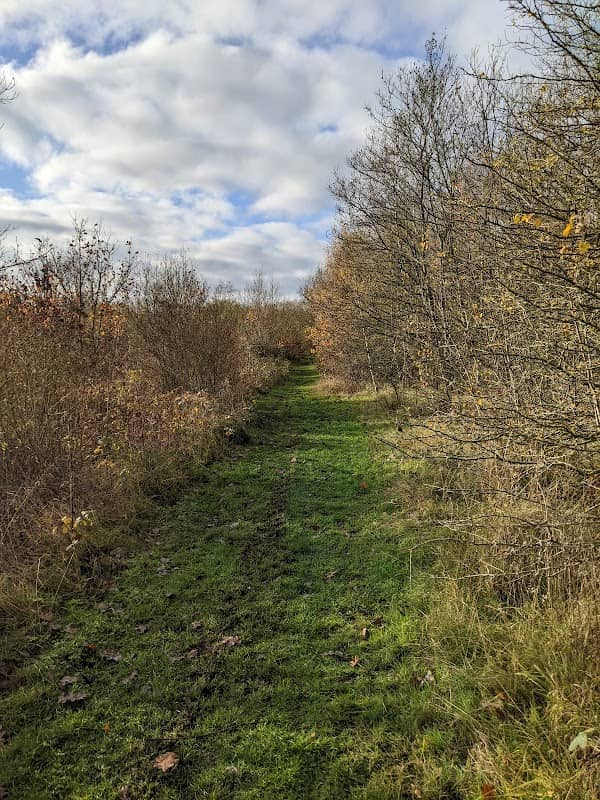 Gresley Woods- Forestry England - Image 1